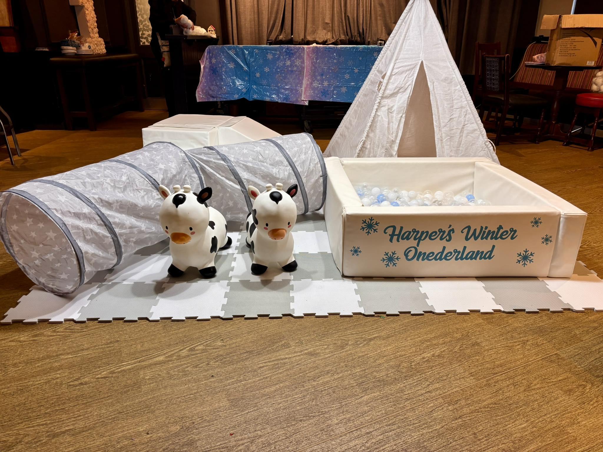 Winter themed soft play setup with teepee and ball pit